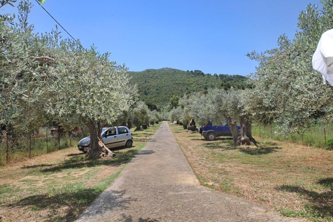 Skopelos Evergreen Apartments Stafylos Exteriér fotografie