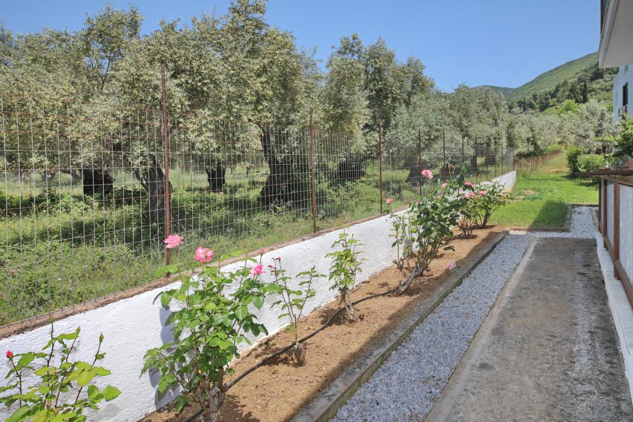Skopelos Evergreen Apartments Stafylos Exteriér fotografie